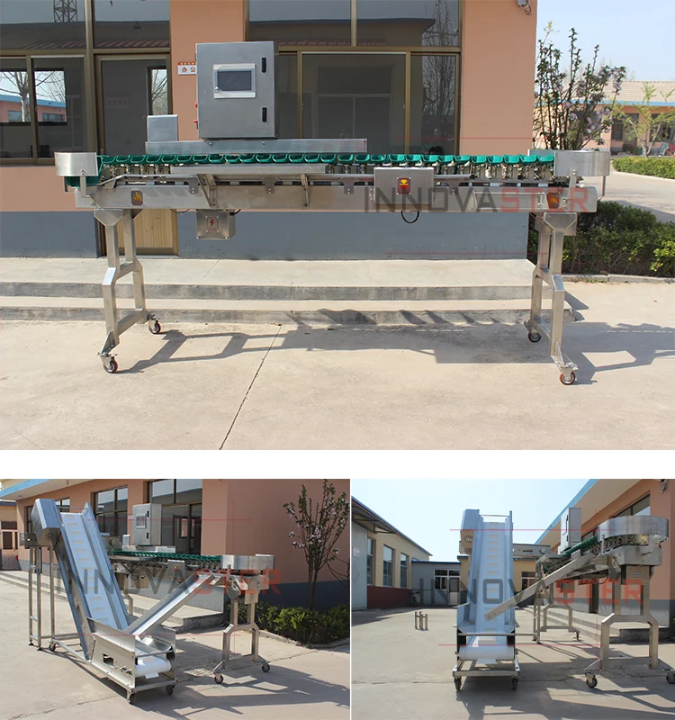 weight sorting machine