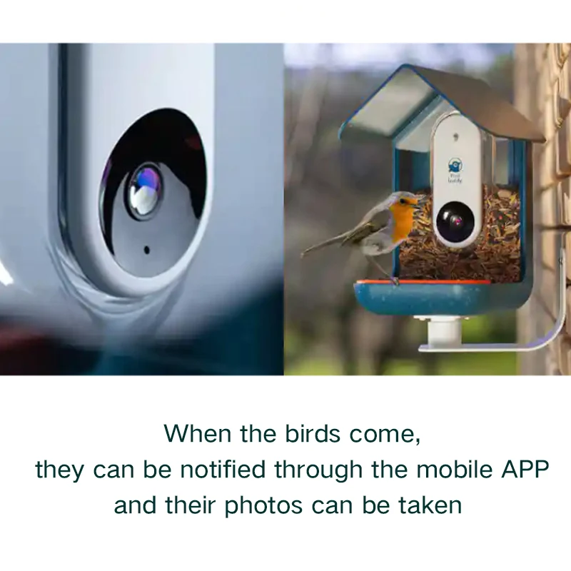 Лидер продаж на Amazon Умная автоматическая кормушка для птиц с камерой и Rfid