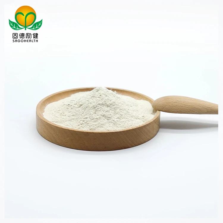 Bulk Wholesale Supply Top-quality Organic Rice Protein
