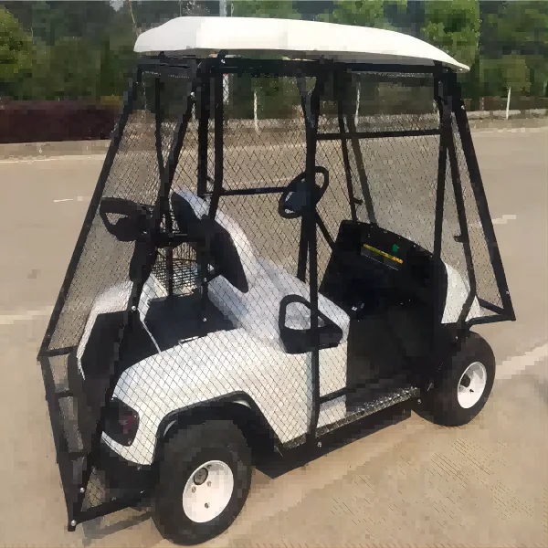 Tong Cai electric golf scooter electric small electric cars for adults Golf Court Customized Electric Caddy Golf Cart