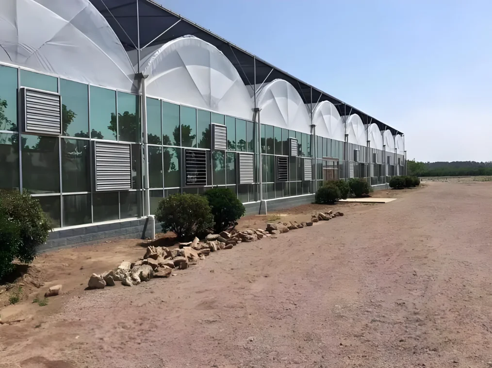 Glass multi-span greenhouse Intelligent Hydroponic Growing Systems Greenhouse from China factory