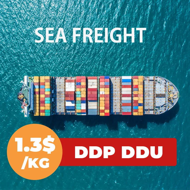 Door to Door Sea Freight Forwarder Shipping Agent to Saudi Arabia Qatar UAE From China