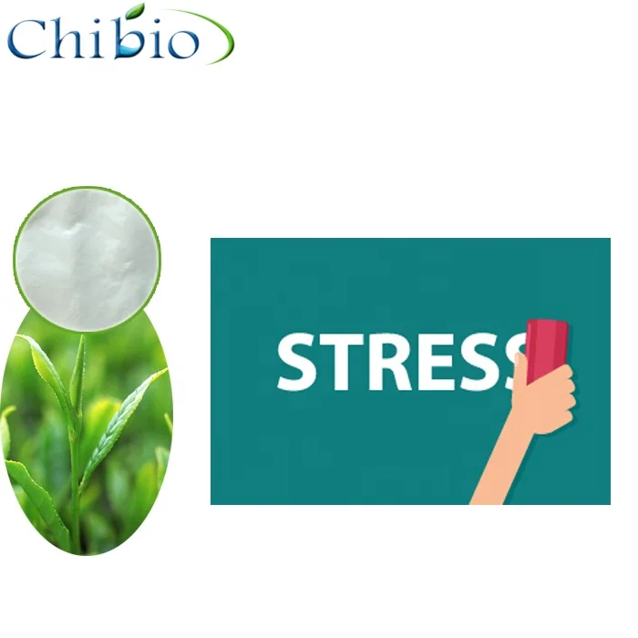 Kucha tea Theacrine powder 99% for Food Supplements