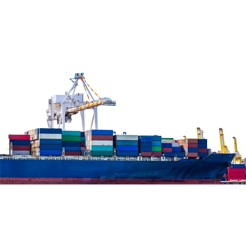 NEW SPEED Professional Shenzhen Logistics Company Inspection Service FCL Sea Shipping DDP To The Middle East