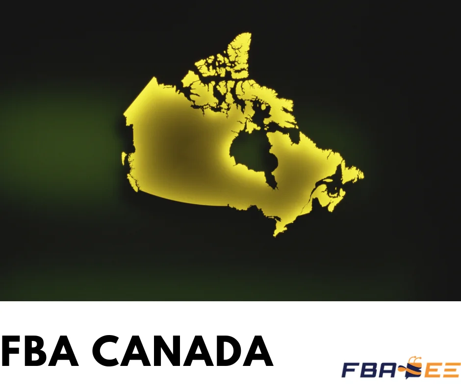 FBABEE Sea Shipment Plus Truck Delivery from Shenzhen China to FBA FBA Canada