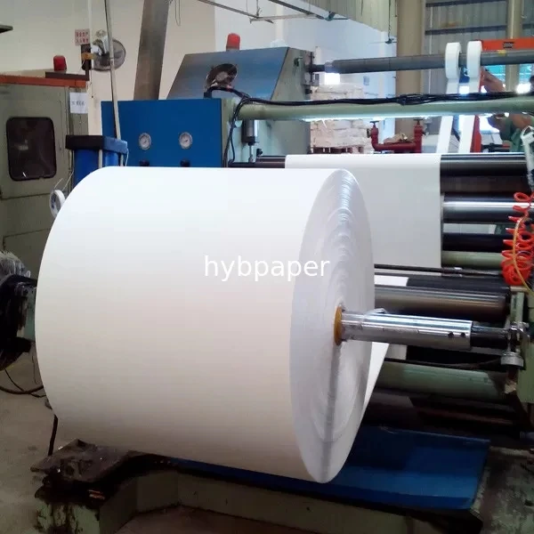 Pe coated FBB paper rolls paper raw material for coated paper cup