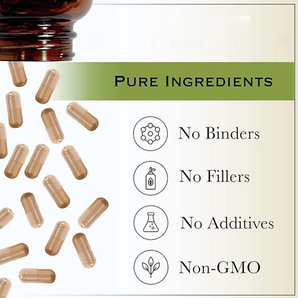 Pure Food Grade Organic Milk Thistle Extract Silymarin 30% 80% Holy Thistle/Blessed Thistle Powder Water Soluble Ethanol Herb