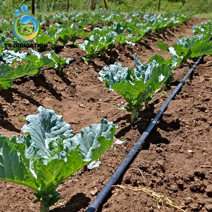 Good price new materials drip irrigation tape small farm land watering irrigation system