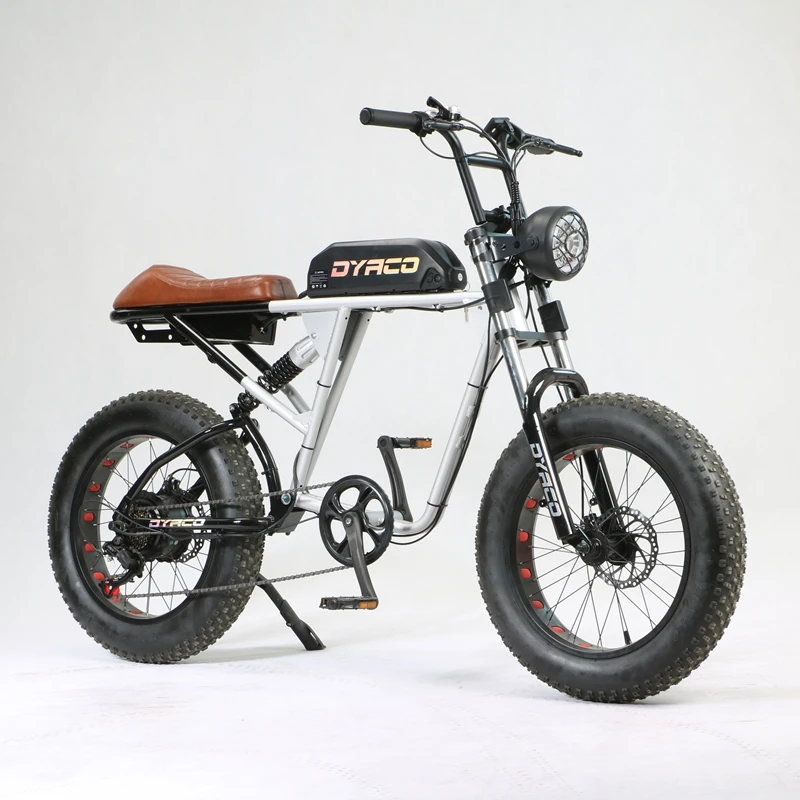 electric bike lithium bicycle 20 ah 10ah battery 500 1000w disc brake mountain snow e-bike