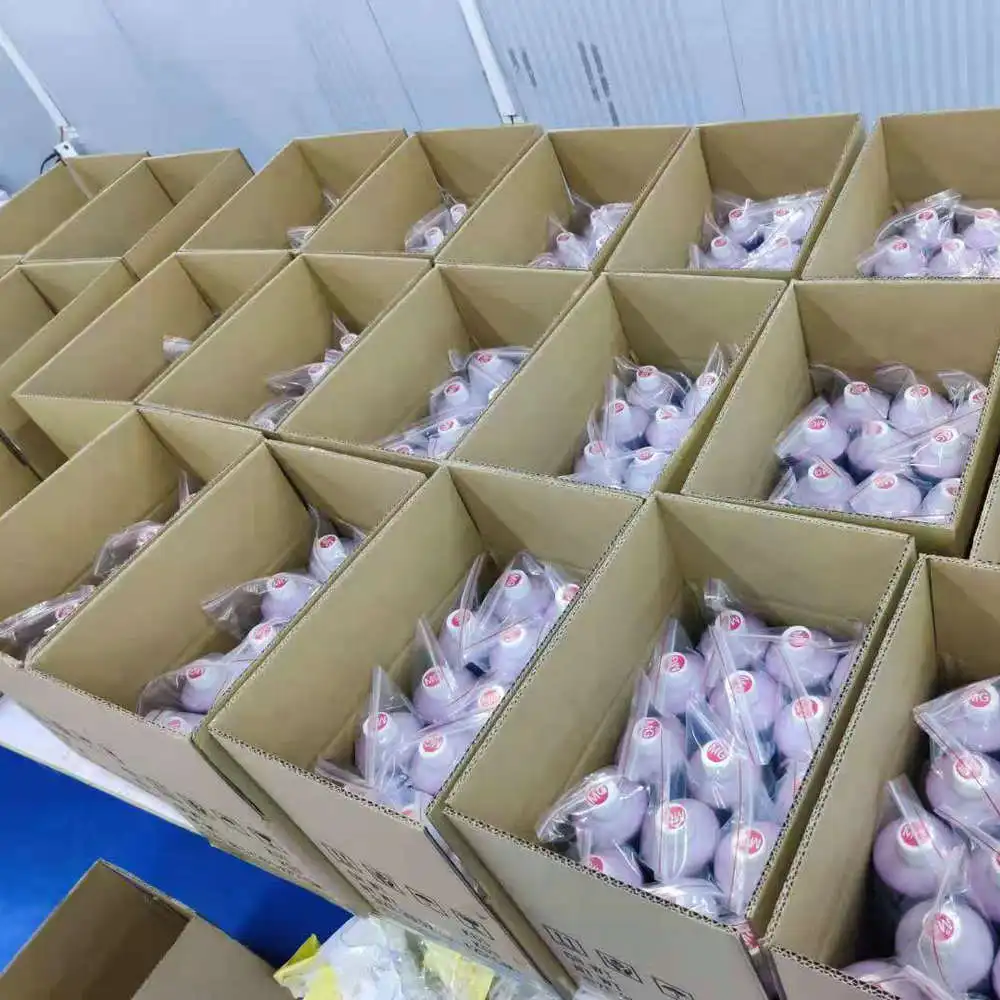 For Roland BN20 Ink Kit Ciss Refill Ink System For Mimaki JV33 JV34 CJV30 JV5 JV3 JV4 Roland BN20 XJ640 XJ740 RA640 Mutoh RJ900