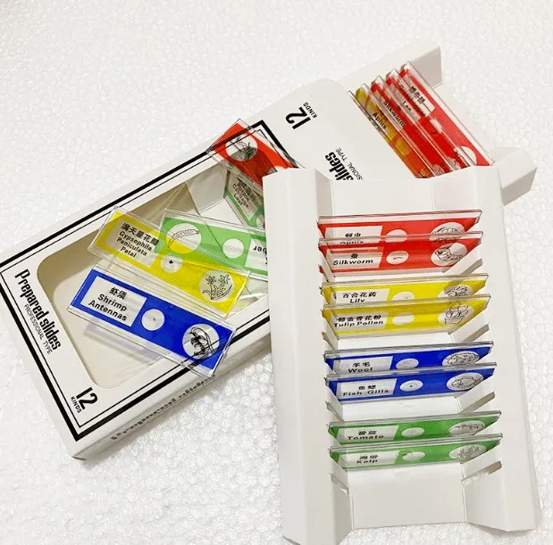 12pcs/set Plastic Microscope Slides Safe Children Slide for Kids Leaning