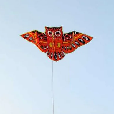 Hot Selling Hawk Kite Customized For Fly