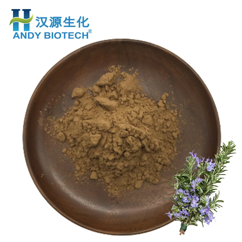 Manufacturer Supply Water soluble 5% Rosmarinic Acid Rosemary Extract Powder