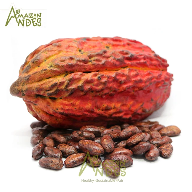 Light Brown Dry Cacao Husk at Best Price
