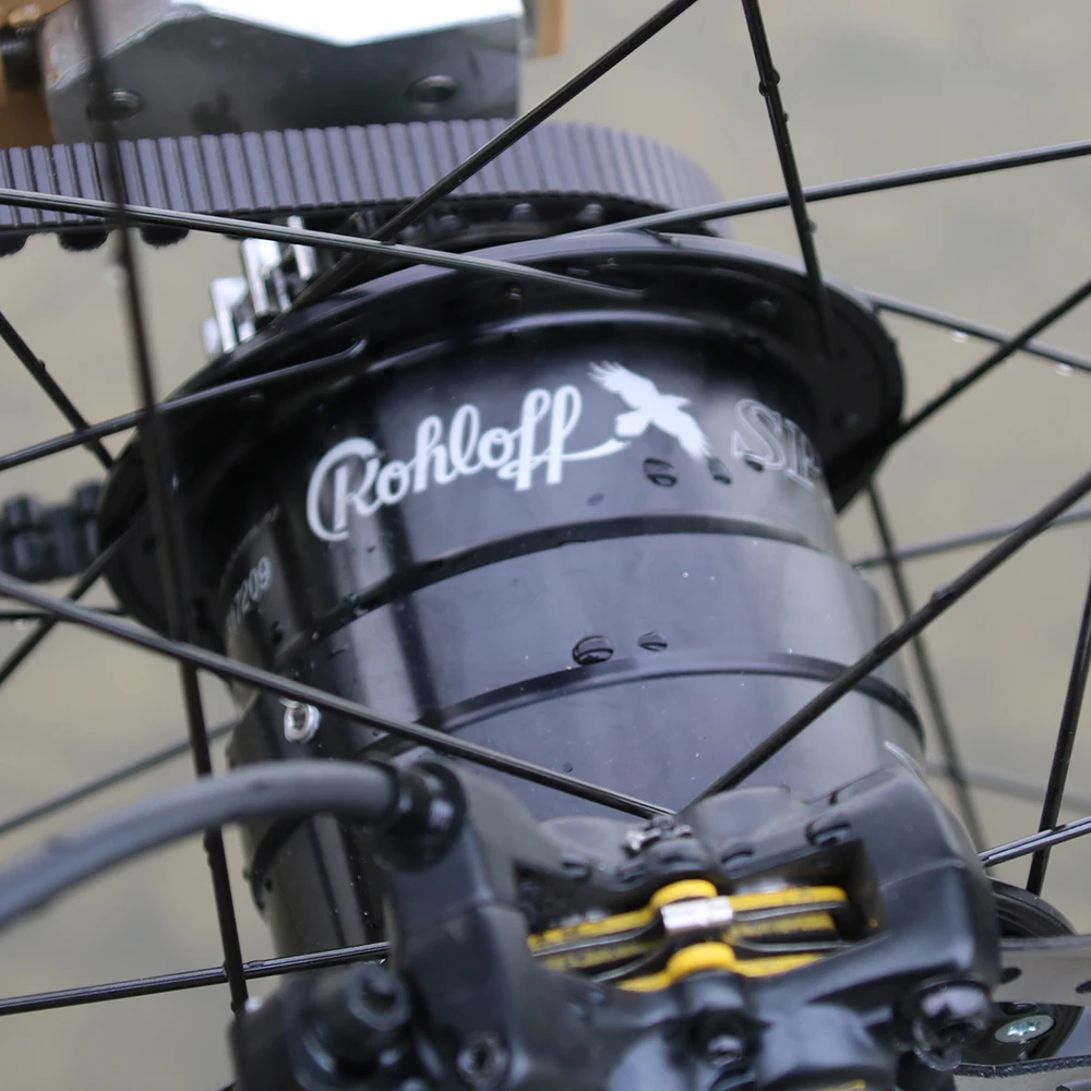  Электрический велосипед Rohloff 14 скоростей двойные батареи MD1000 китайский электрический с мотором Bafang ultra
