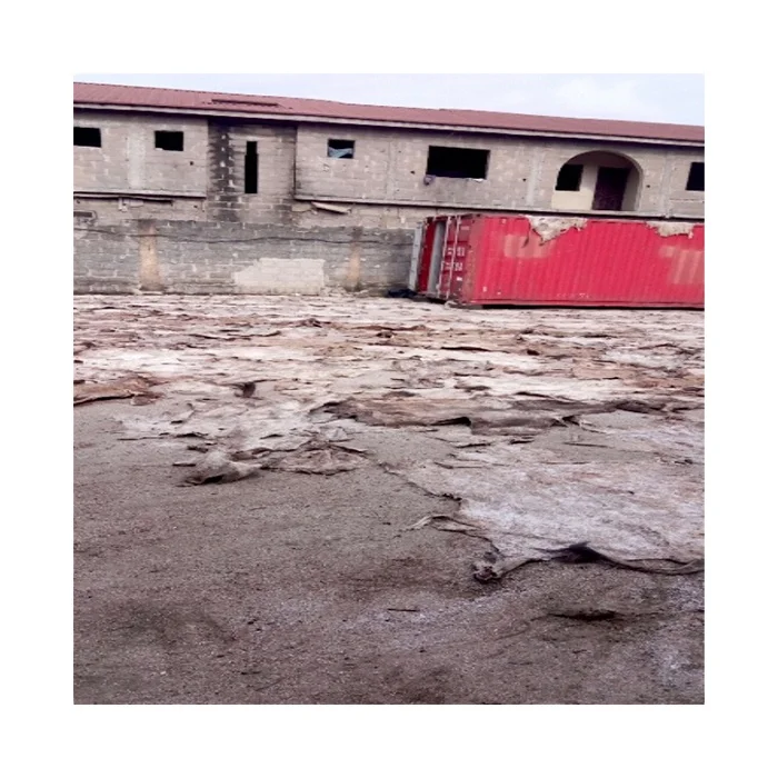 Treding Hot Products Good Price High Quality Donkey Hide Gelatin Cake Sell WELL Cow Hide Cow Hide Leather Sheep Skin Dry Salted