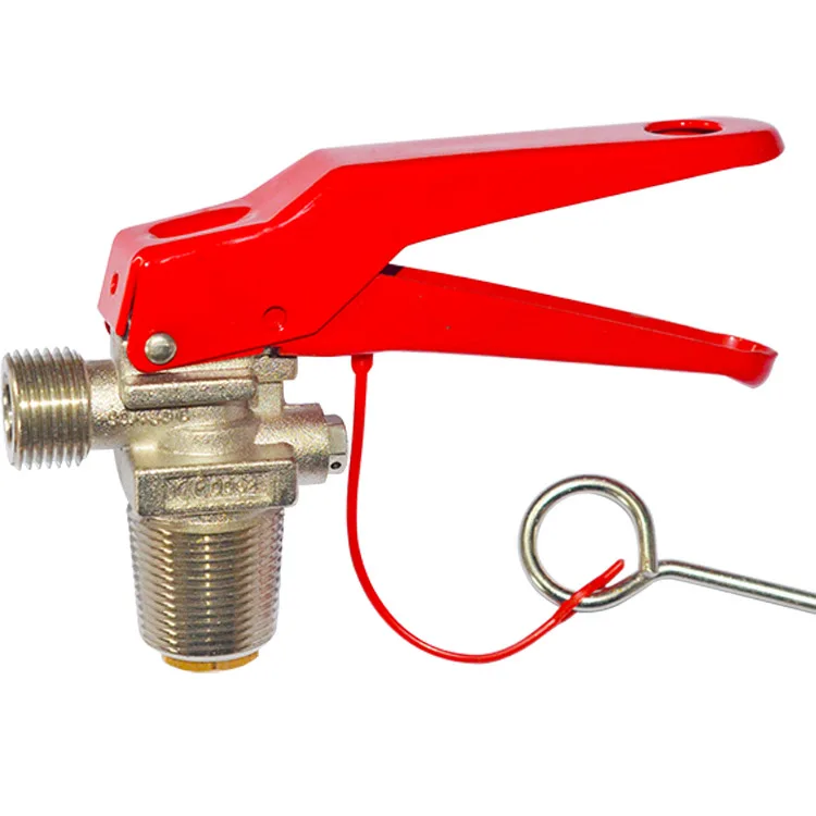 Safety Life fire fire extinguisher chromed valve for powder Co2 and fm200 fire extinguisher accessories valve