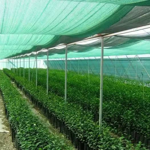 100% virgin HDPE greenhouse agricultural vegetable sun shade netting