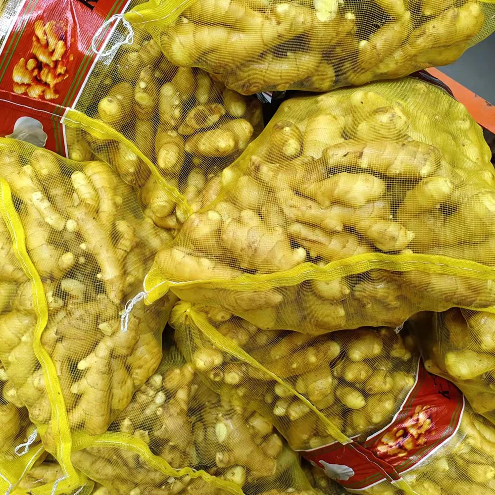 Cheap price fresh ginger high quality new crop in carton for wholesale  dried ginger