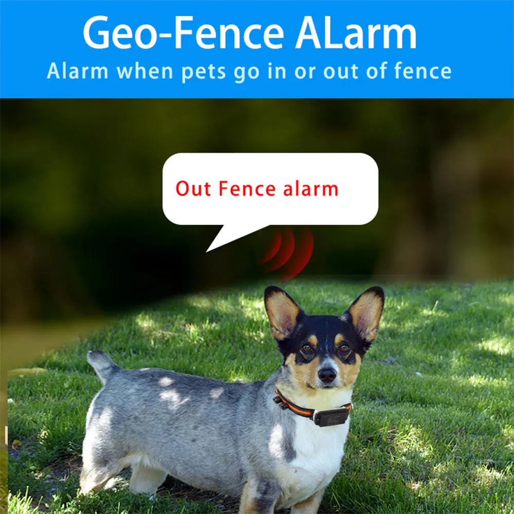 No subscription no monthly fee 4g gps tracker dogs pet smart tracker gps locator tracking for dog cat anti lost locator dog