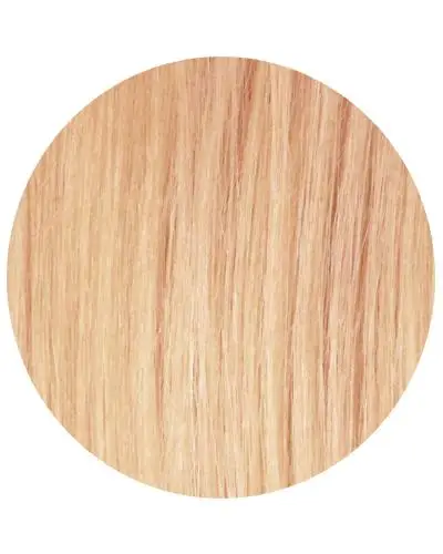 LX_HAIR Supply: human hair color chart, human hair extension of the color ring