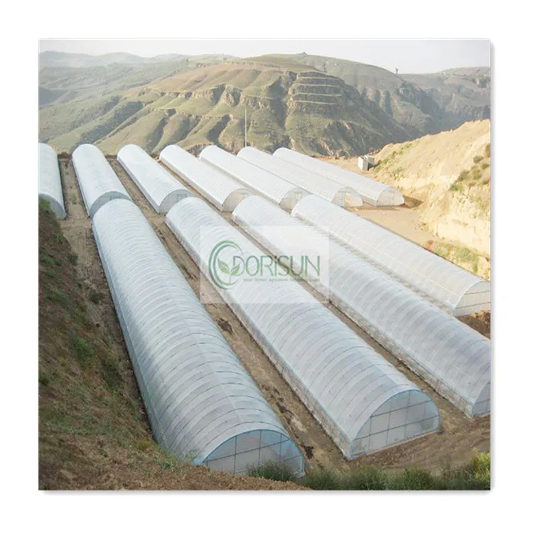 China complete hydrophonic modular garden greenhouse farming hydroponic tomato poly net passive greenhouse sale Pakistan