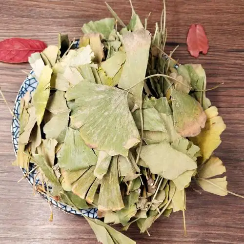 
Natural 100% ginkgo biloba leaves 