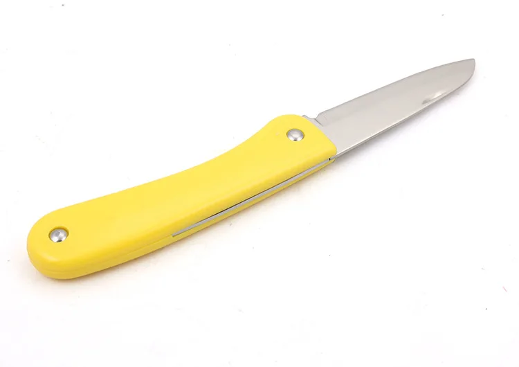 Portable Stainless Steel Fruit Knife with Plastic Handle Easy Carrying with Folding Feature for Kitchen Use