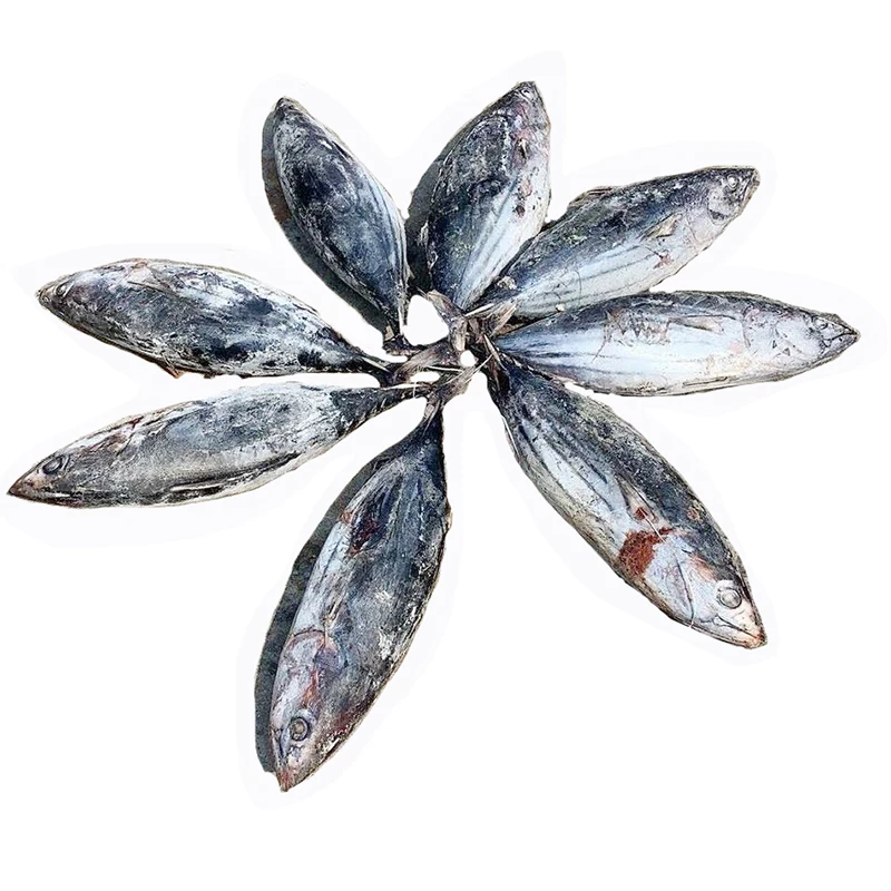 
skipjack tuna frozen for fish fillet IQF tuna block Frozen Seafoods Raw Material Skipjack Tuna for Japan 