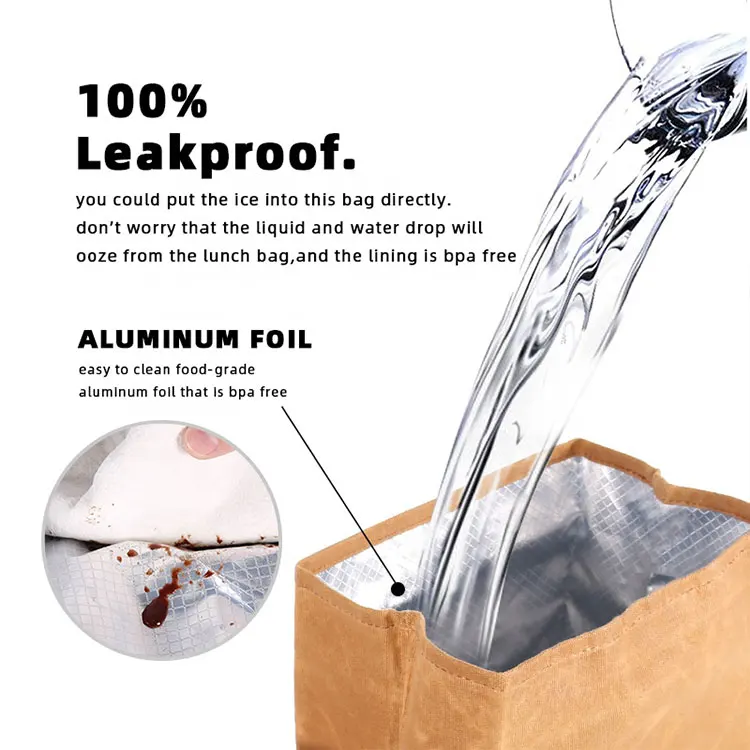 Hot Selling Adult Canvas School Lunch Bag Insulated Roll Top Kraft Custom Biodegradable Waterproof Thermal Cooler Bag for Women