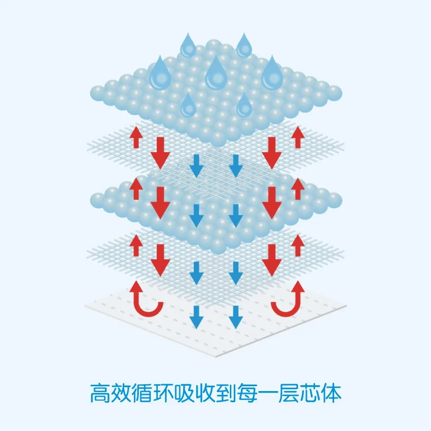 Petfine New Design Disposable Male Share Female Cheap Dog Pamper Absorbent Diapers