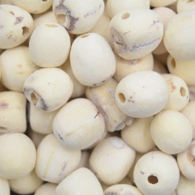 
Hot sale Herbs Water Lily Flower Seeds Dried White Lotus Seed 