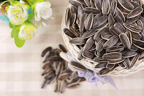 China raw sunflower seeds bulk