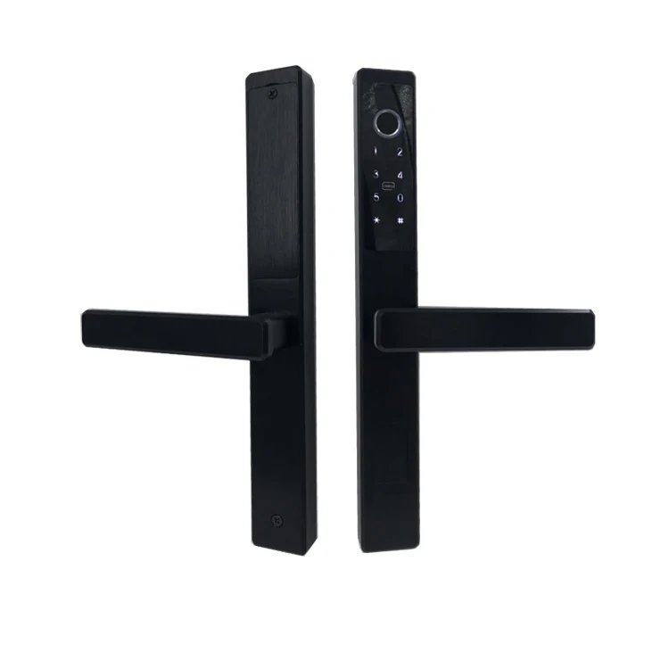 
ELA Hot Selling Smart Home Proximity Password Fingerprint Lock Door 