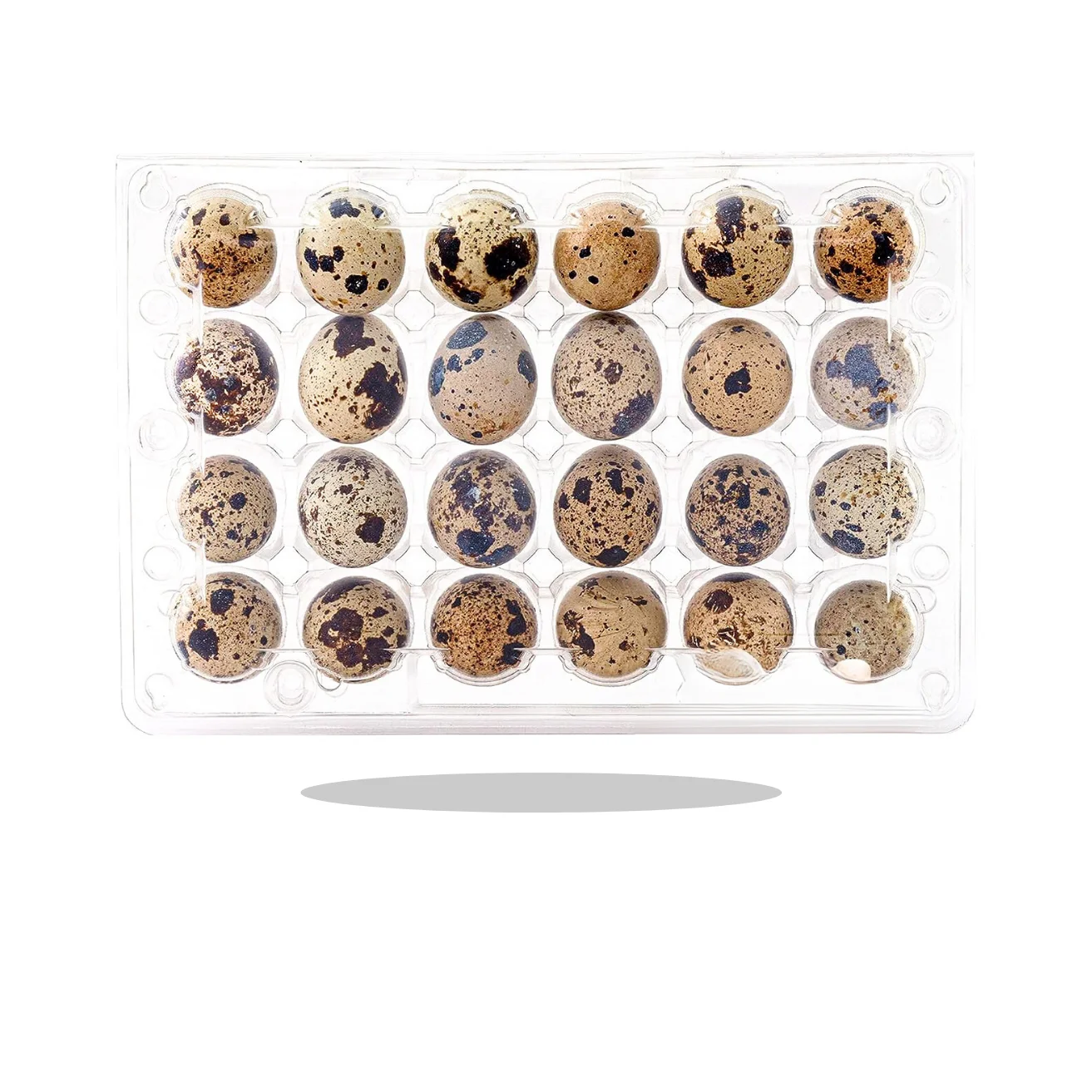 24 30 Holes Hinged  Disposable Suppliers Clear Blister Plastic Quail Eggs Packaging Egg Trays