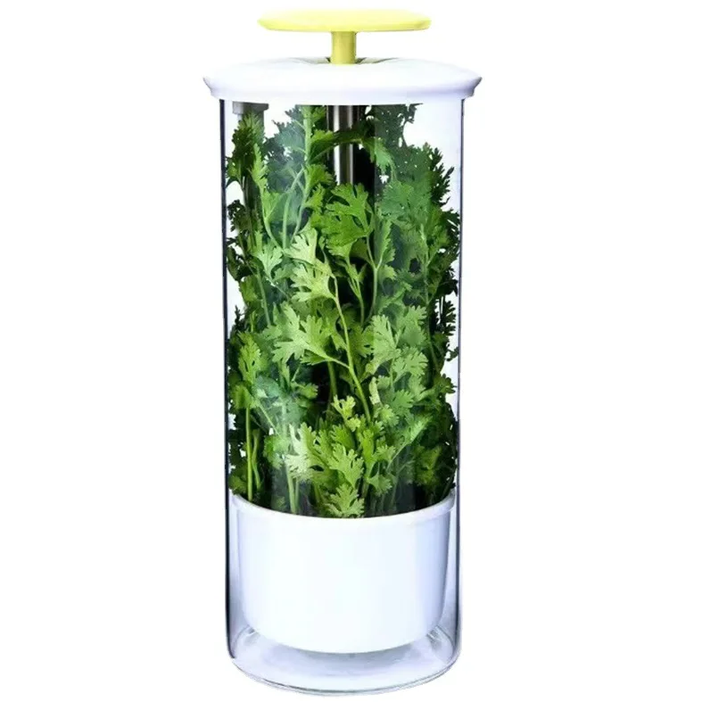 High Quality Breathable Borosilicate Glass Herb Keeper