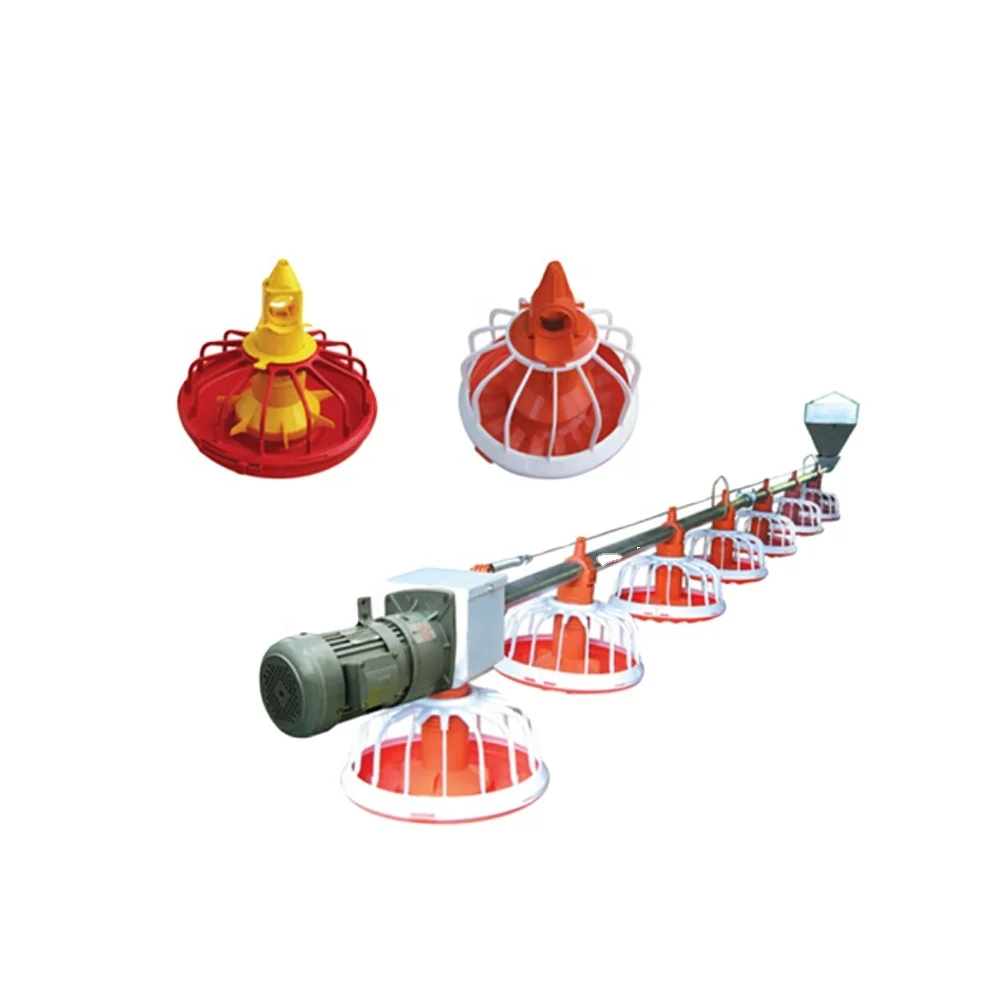New Animal Poultry Husbandry Equipment Broiler Layer Chicken Feed Automatic Feeding and Drinking System Line for Poultry Farms