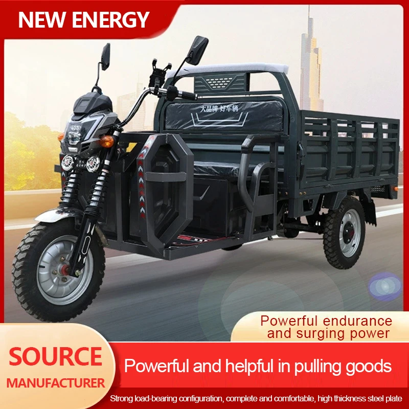 Adult Utv Recreational Vehicle Heavy Load High Speed Large Size Motor Fo Electric Cargo Tricycle