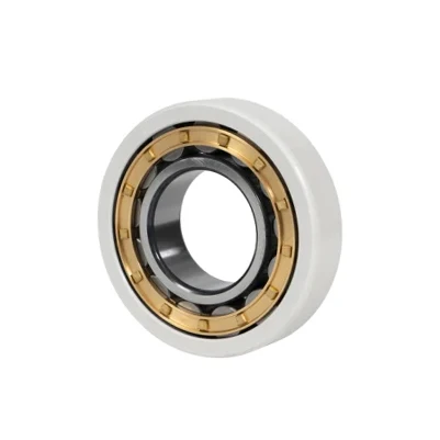 HXHV Nu 1018 M/C3vl0241 317 Ecm/C3vl0241 изолированные подшипники с алюминиевым покрытием и высоким электрическим