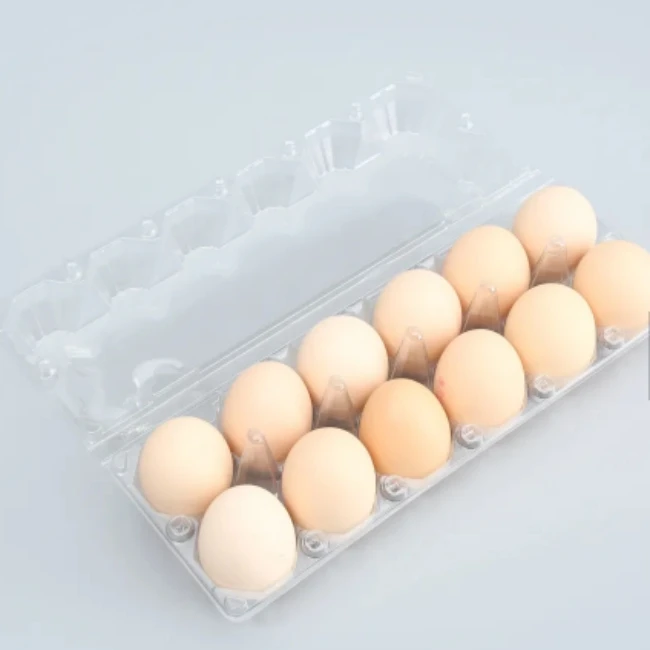 Wholesale Chicken Egg Holder Clamshell Chicken Egg Tray Transparent Plastic 6 8 12 15 16 30 Holes PET Agriculture