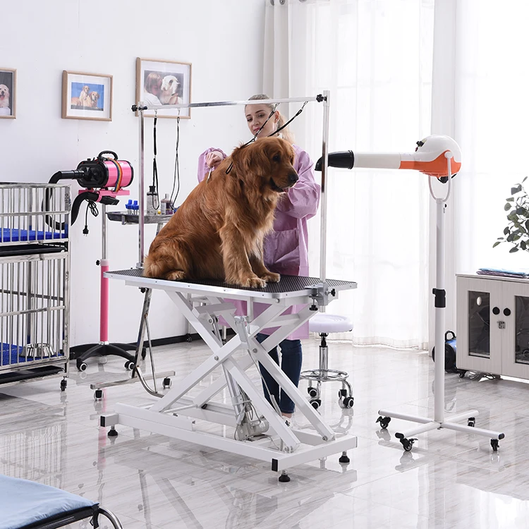 Electric Pet Dog Grooming Table with LED Grooming Table Veterinary Grooming Table