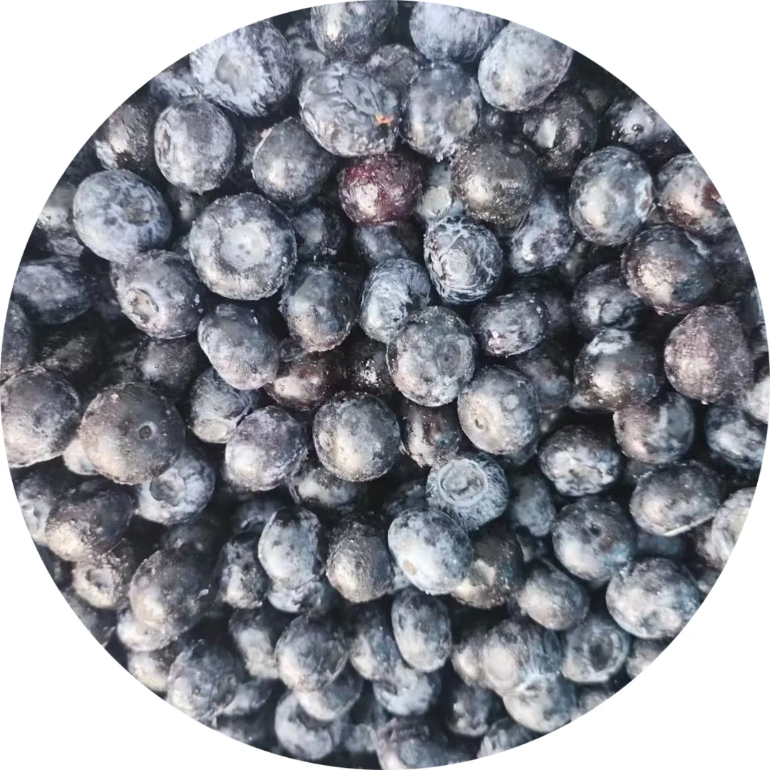 BRC Certified High Quality Frozen Blueberry IQF New Crop