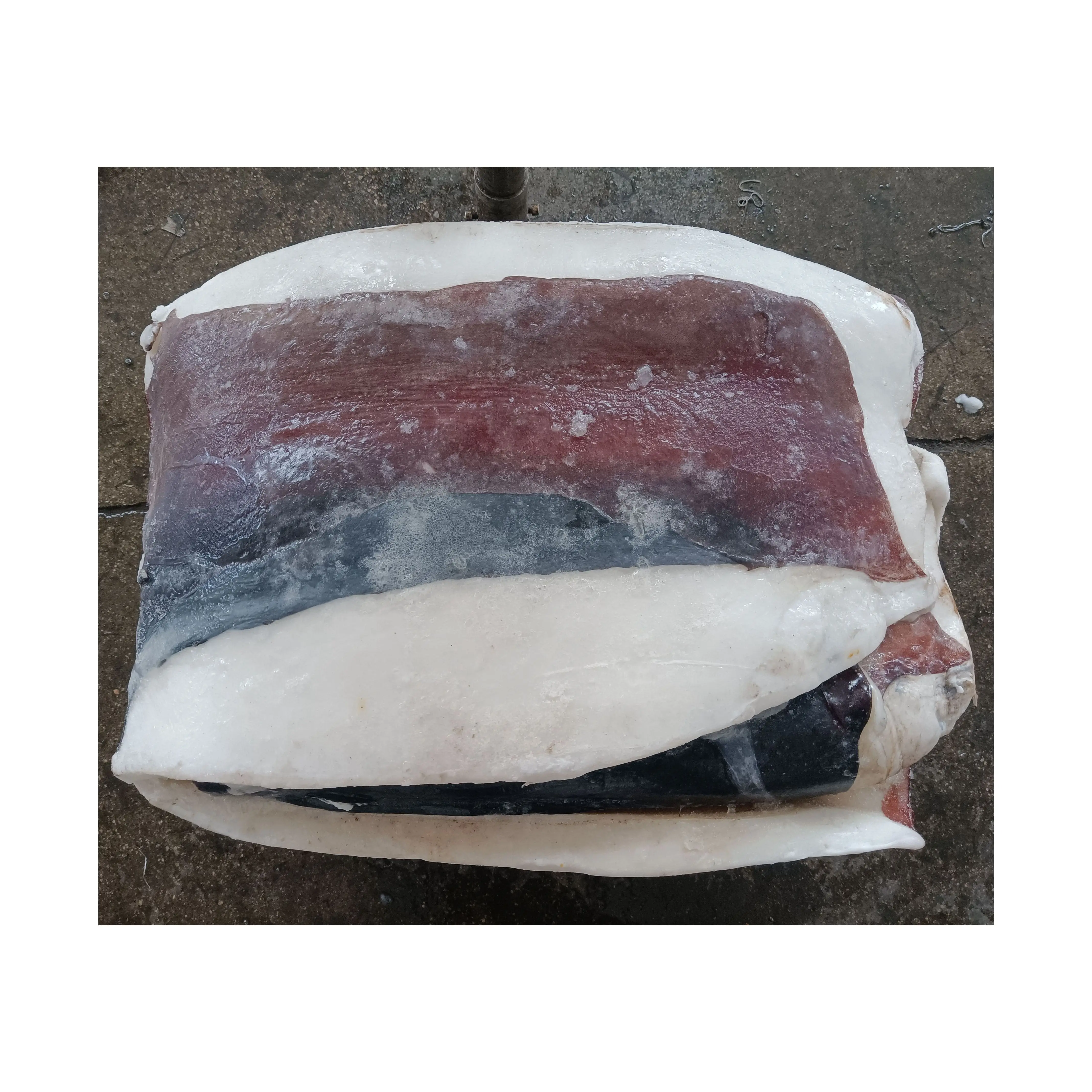 X366 frozen giant squid fillets manufacturer Peru squid meat wholesale HACCP skin on giant squid fillet 2kg+