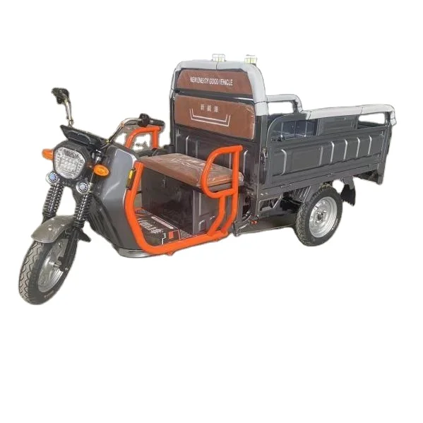 Made in CHINA motorized cargo tricycle ! in stock wanhoo cargo tricycle cc250 electric tricycle stainless steel