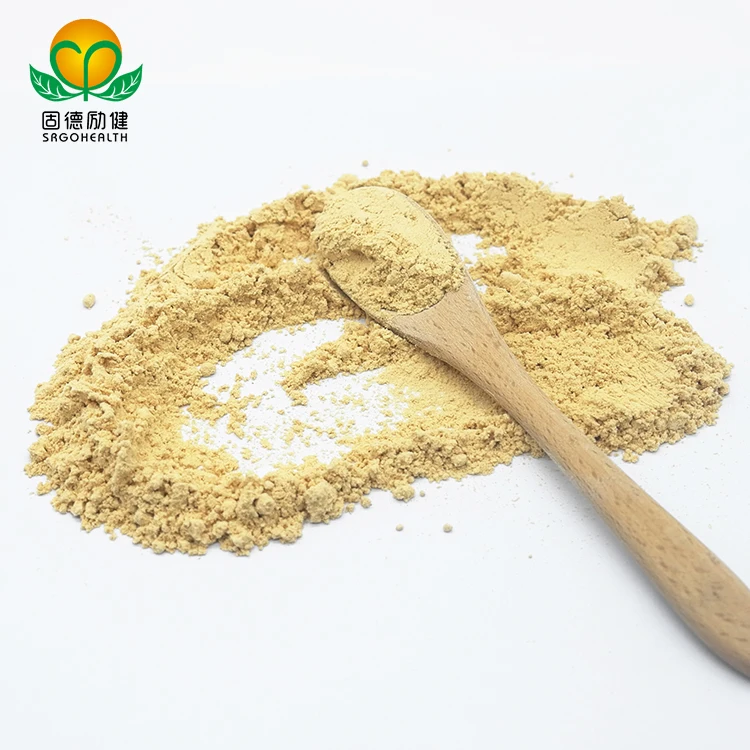 Organic Mushroom  Hericium Erinaceus Extract Powder