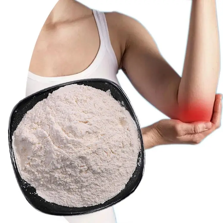 Glucosamine Chondroitin Anti Osteoarthritis Chondroitin Sulfate Proteoglycan With Competitive Price