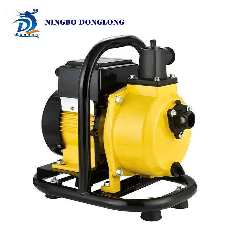 DL высокое качество DC 48V-96V Водяной насос 800W SELF-SRMING