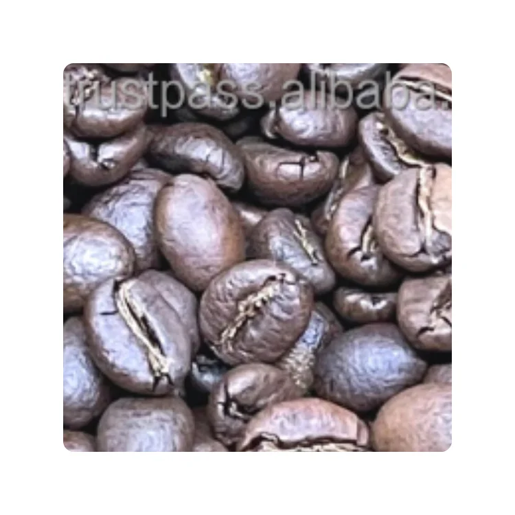 Arabica Catimor High Quality Arabica Coffee Agricultural Customized Logo Vietnamese Coffee Made In Vietnamese Manufacturer