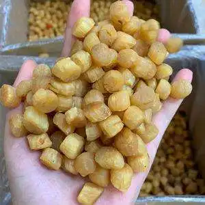 Wholesale delicious dried scallop