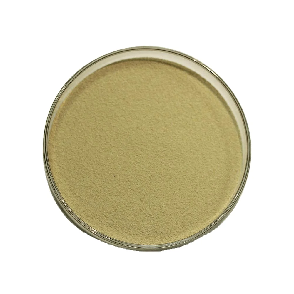 Attractive Price New Type Low Price Probiotics Lactobacillus Plantarum Granular